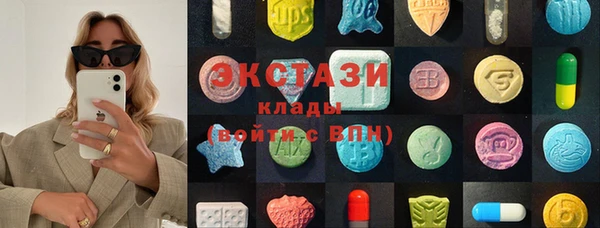 хмурый Мегион