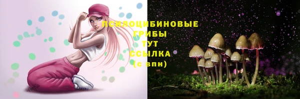 трава Медногорск