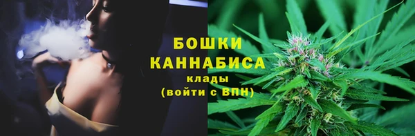 трава Медногорск