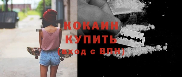 хмурый Мегион