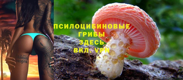 а пвп мука Медвежьегорск