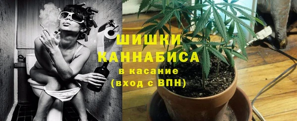 хмурый Мегион