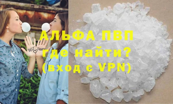 индика Бердск