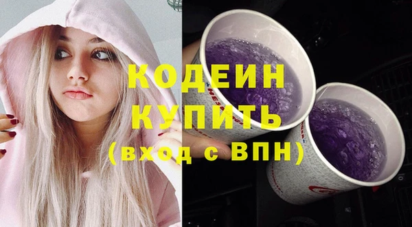 хмурый Мегион