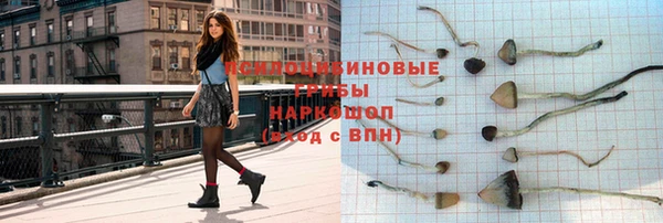 а пвп мука Медвежьегорск