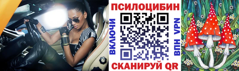 MEGA tor  Черногорск  Галлюциногенные грибы ЛСД  магазин  наркотиков 