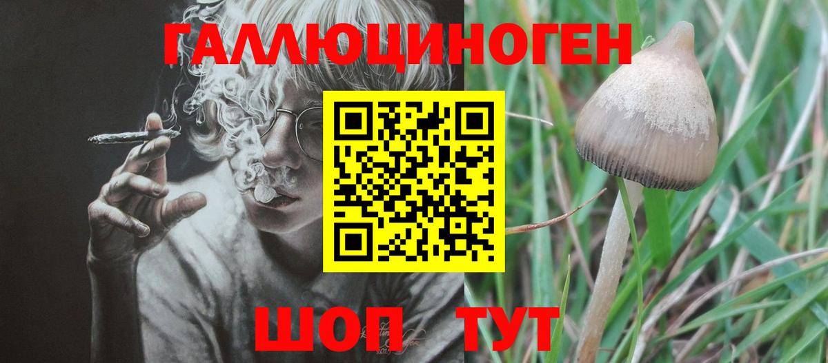 Черногорск  Галлюциногенные грибы Magic Shrooms  Псилоцибиновые грибы прущие грибы  Вход с VPN 