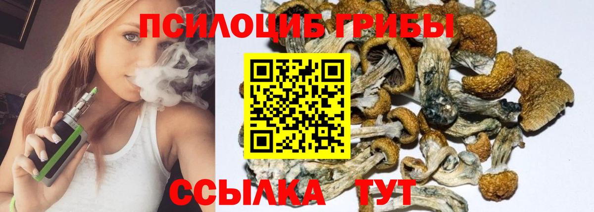 Галлюциногенные грибы ЛСД Черногорск