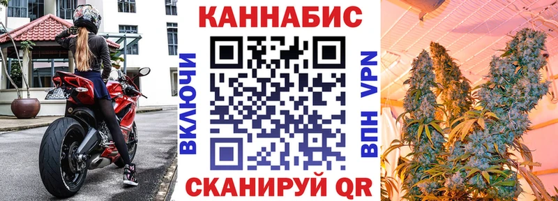 Канабис сатива  Черногорск 